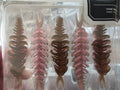 ID Motion Wiggly 4.5-inch brown and pink soft-plastic lures, original package photo